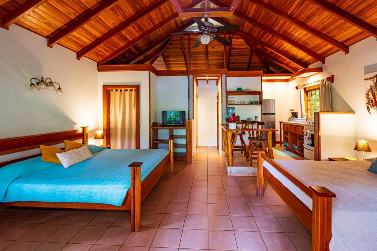 El Nido Jungle Lodge Puerto Viejo de Talamanca Esterno foto