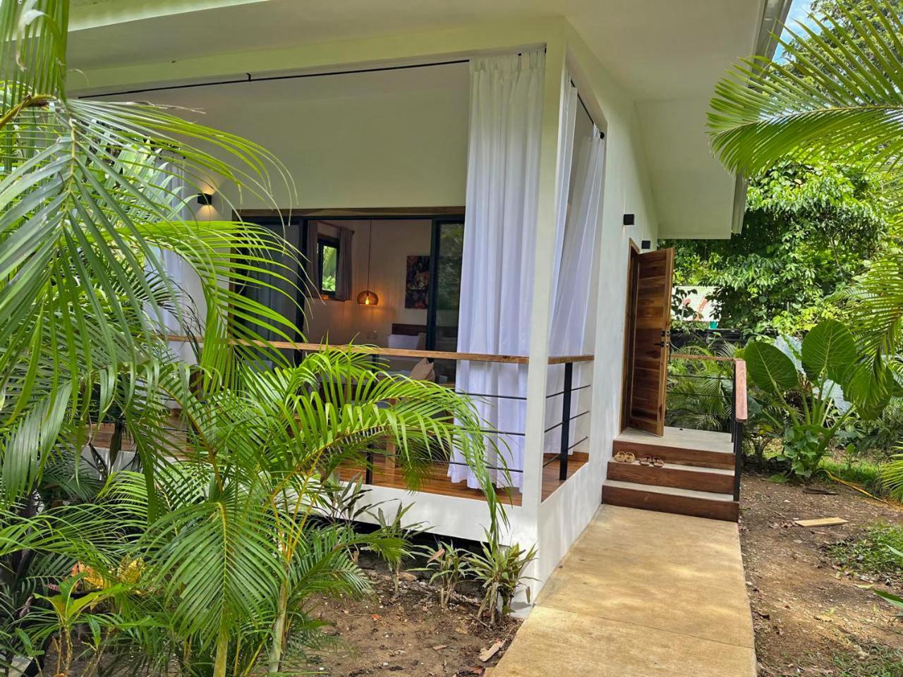 El Nido Jungle Lodge Puerto Viejo de Talamanca Esterno foto