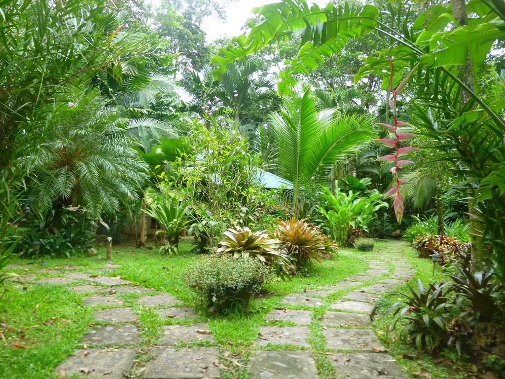 El Nido Jungle Lodge Puerto Viejo de Talamanca Camera foto