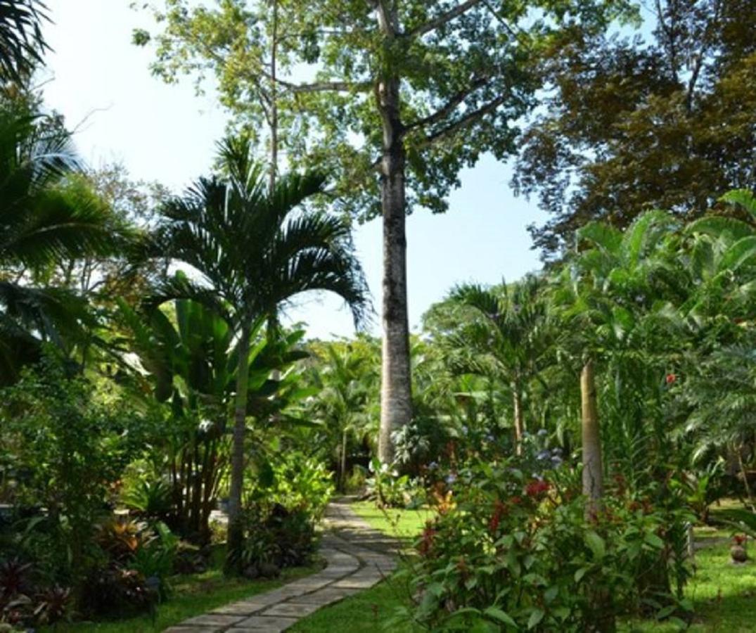 El Nido Jungle Lodge Puerto Viejo de Talamanca Esterno foto