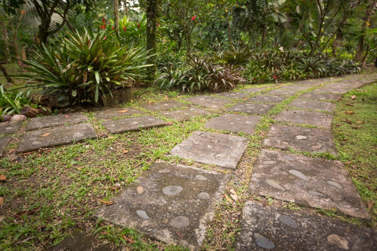 El Nido Jungle Lodge Puerto Viejo de Talamanca Esterno foto