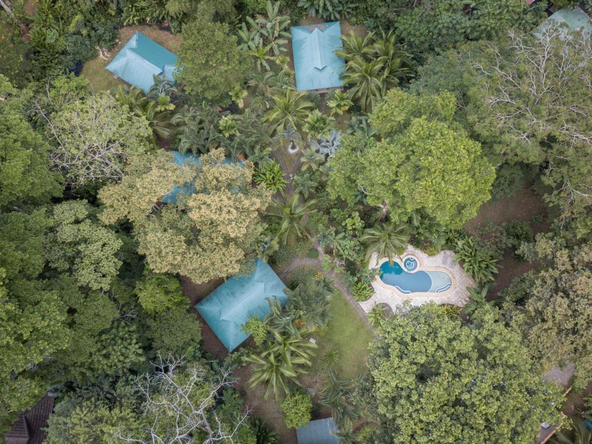 El Nido Jungle Lodge Puerto Viejo de Talamanca Esterno foto