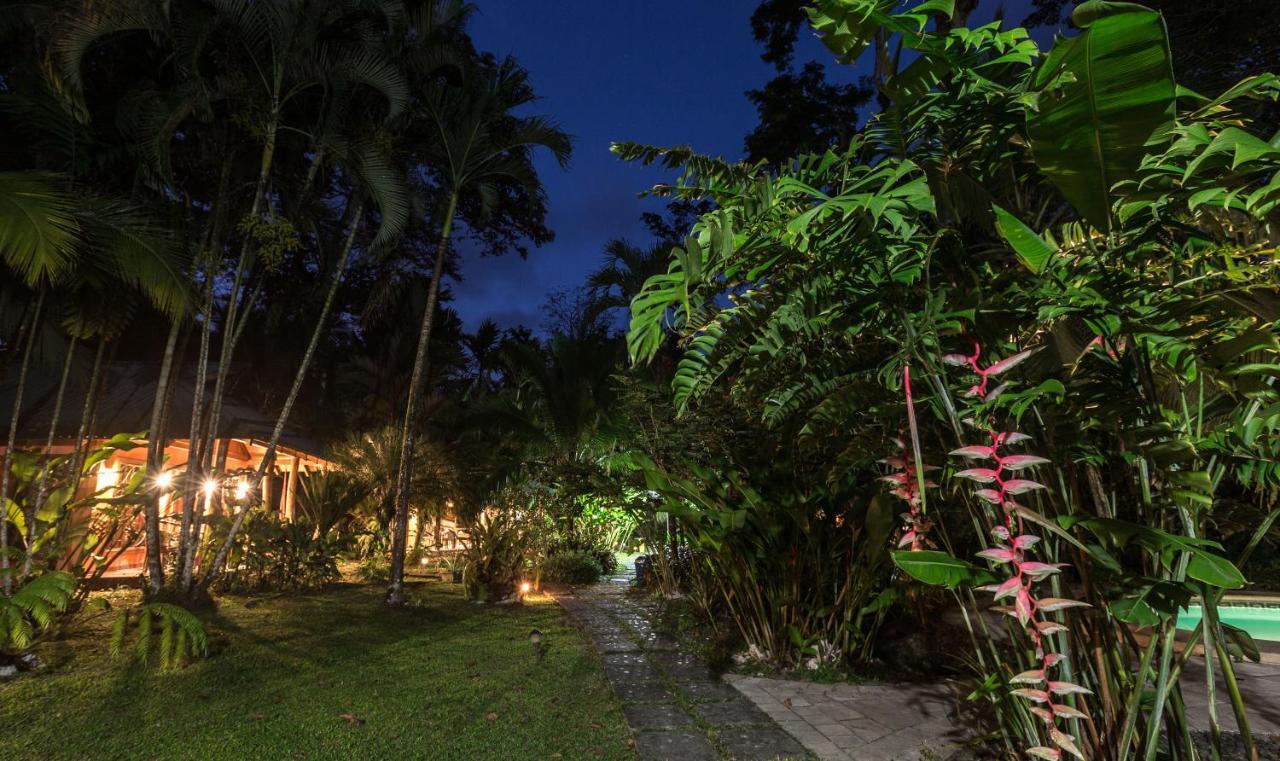 El Nido Jungle Lodge Puerto Viejo de Talamanca Esterno foto