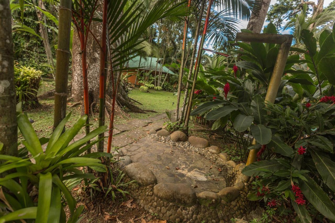 El Nido Jungle Lodge Puerto Viejo de Talamanca Esterno foto