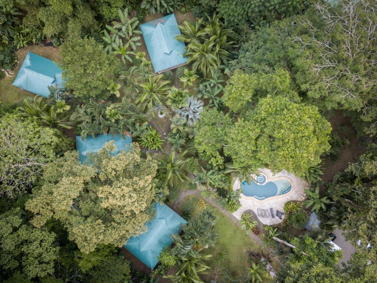 El Nido Jungle Lodge Puerto Viejo de Talamanca Esterno foto